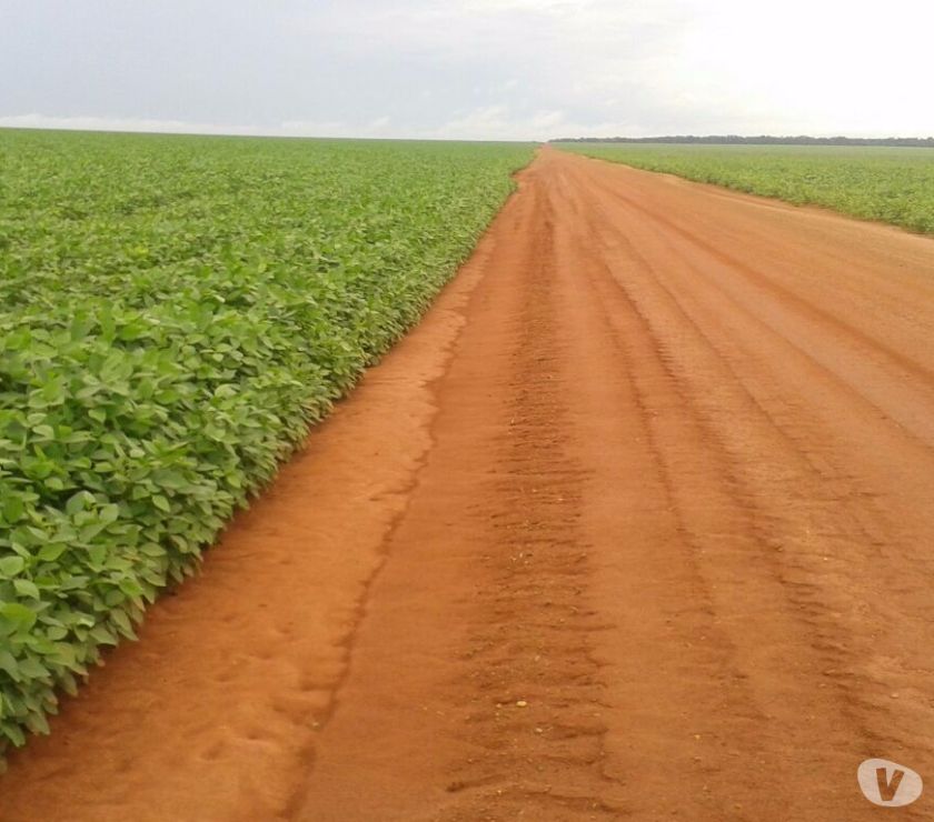 Fazenda Mato Grosso com  hectares