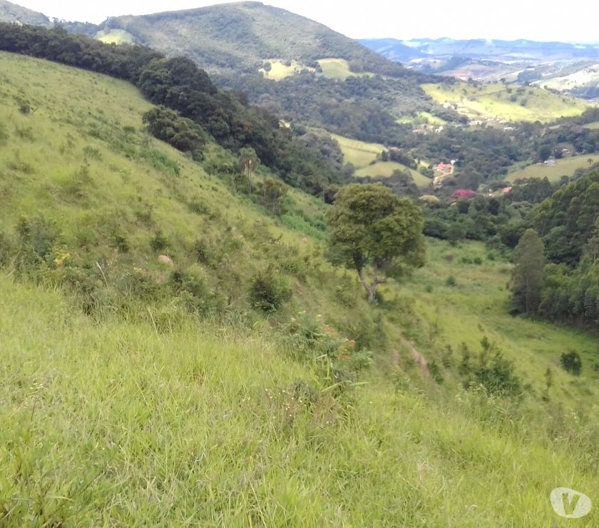 5 alqueires toledo, sul M,G. 1 alqueire plano resto declive