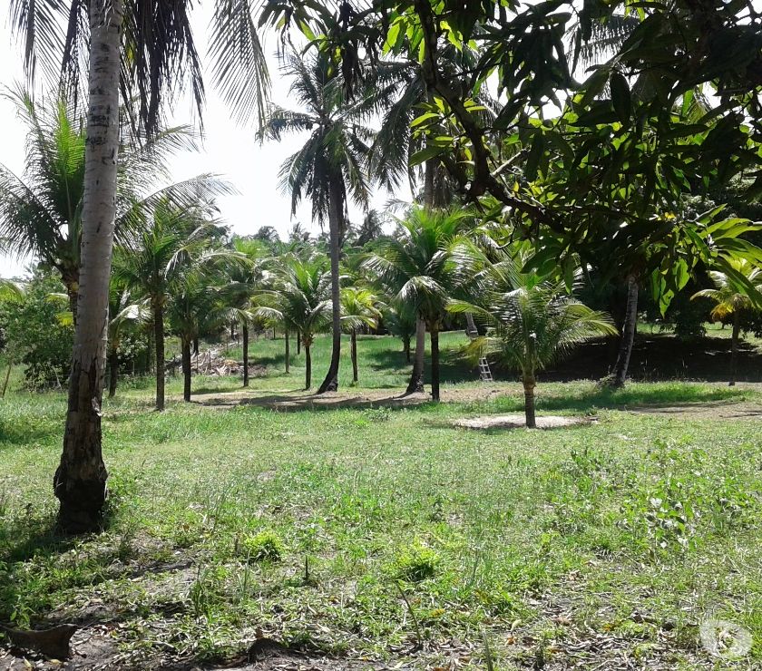 Sitio Monte Gordo - Guarajuba Litoral Norte