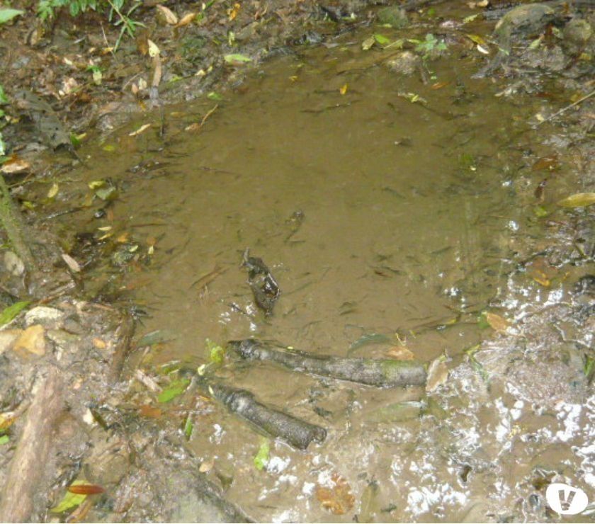 Por Esse Preço Só Tem Esse!!!