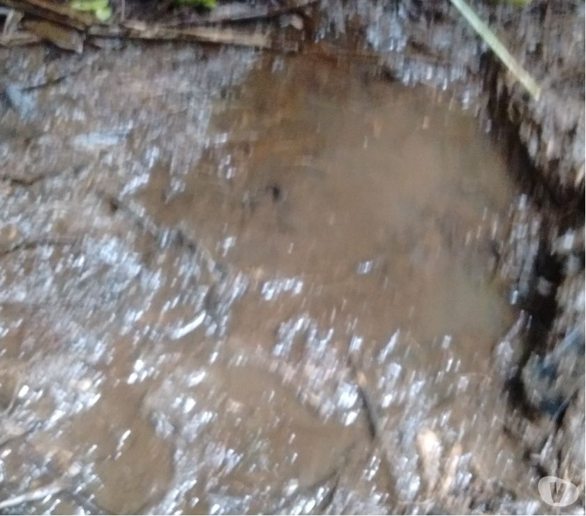 terreno pedacinho do céu