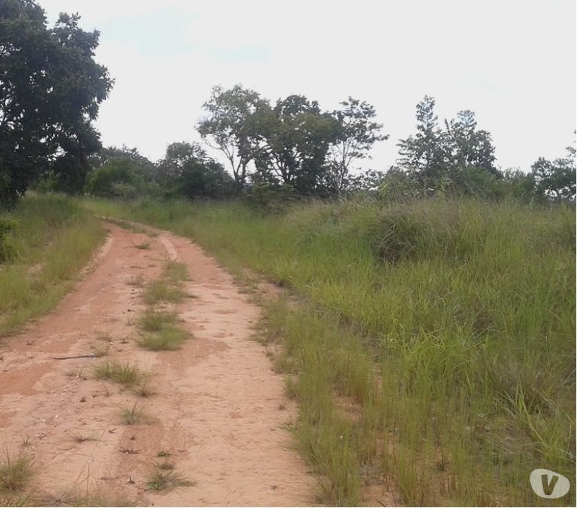 EXCELENTE FAZENDA PARA INVESTIDOR COM 800 HEC EM CAMAPUA MS