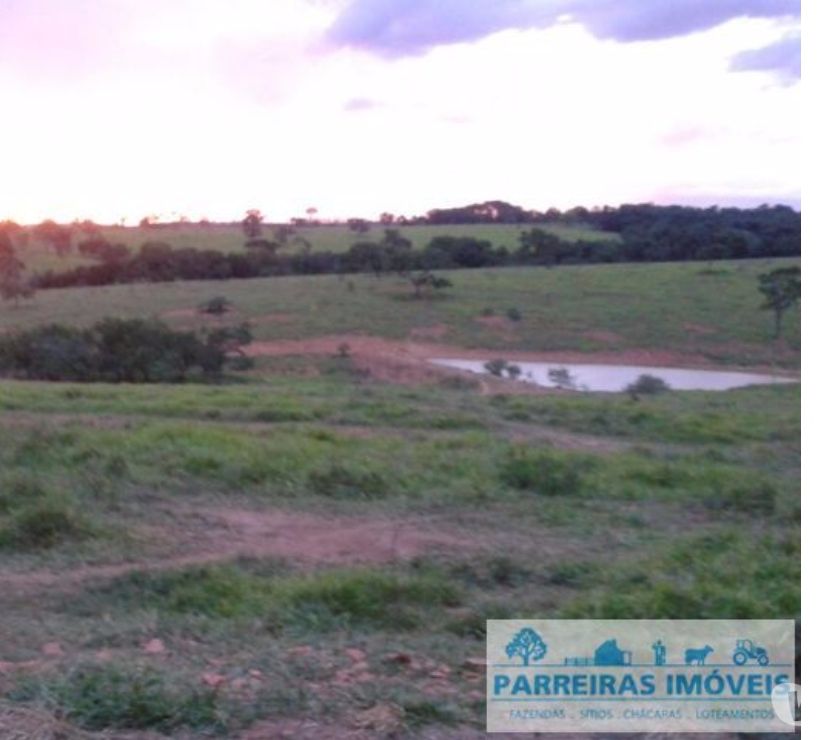 Fazenda de 236 hectares localizada em Martinhos Campos MG