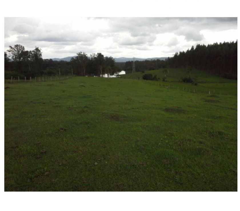 Terreno ruralsítio de 11 hectares em Taquara, RS
