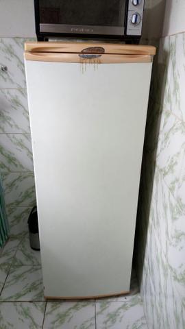 Geladeira electrolux 330 leia