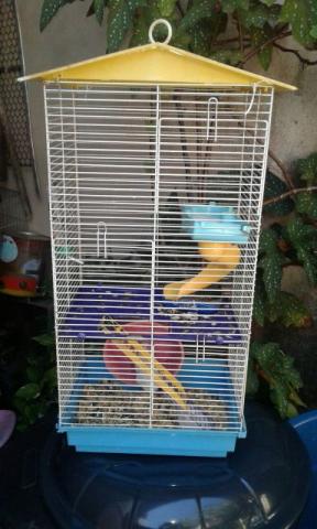Gaiola 3 andares usada e hamisters