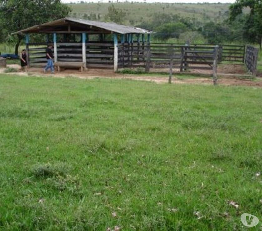 Fazenda de 38 hectares localizada em CurveloMG