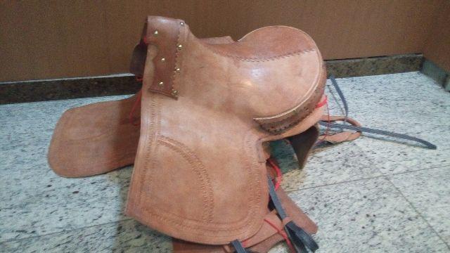 Sela pantaneira em Manaus