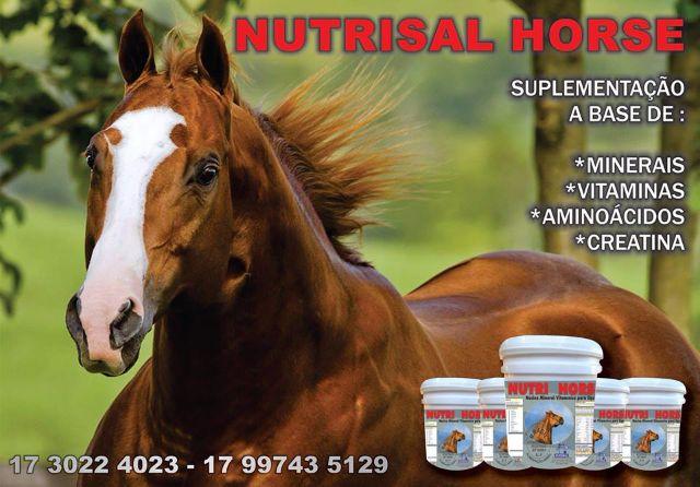 Suplemento Nutrisal Horse