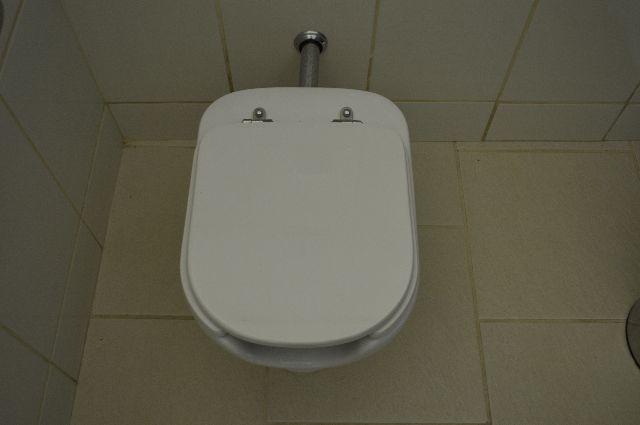 Vaso sanitário para portadores de deficiência