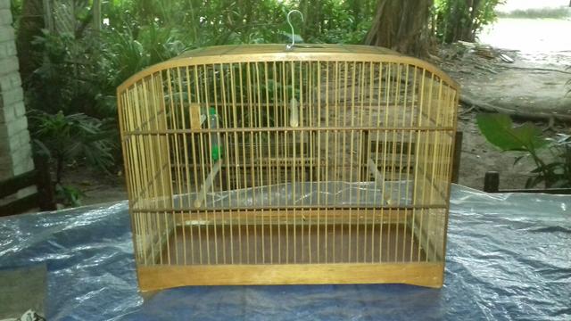 Gaiola para aves tamanho G