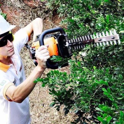 Podador Profissional VP para Cerca Viva - Vulcan