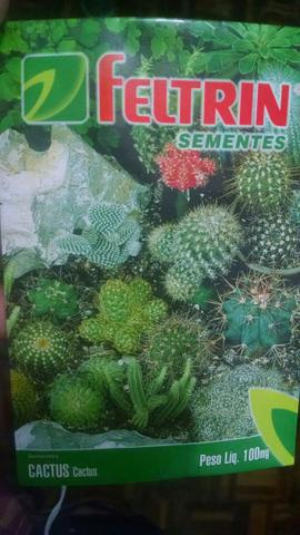 Sementes cactus e outras
