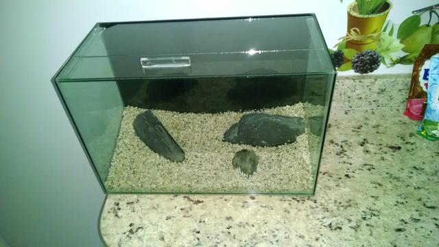 Aquário 28 litros