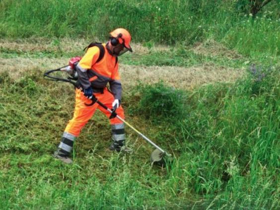 Serviço de limpeza terreno com roçadeira