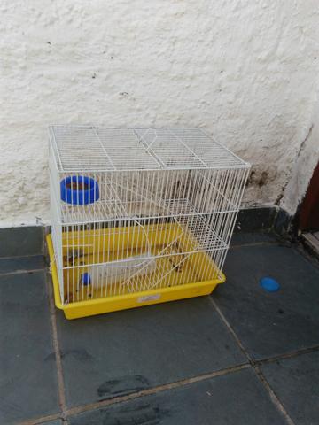 Gaiola Hamster ou porquinho da índia