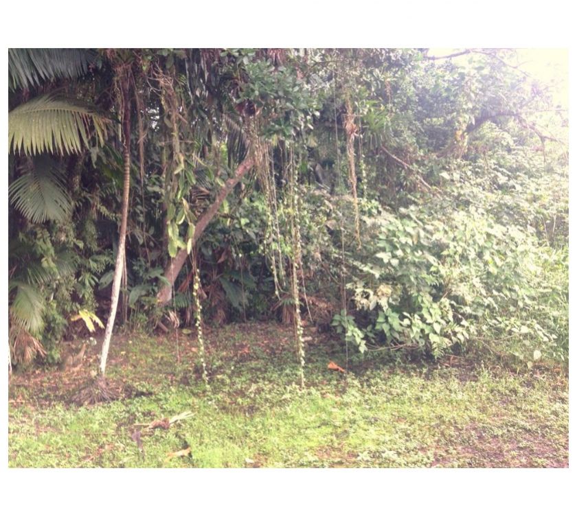 413PL Excelente Terreno no Guaraguaçu !