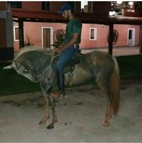 Egua muito marchadeira