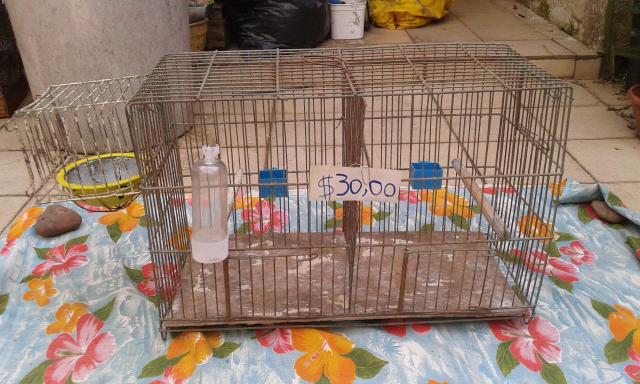 Gaiola para criação