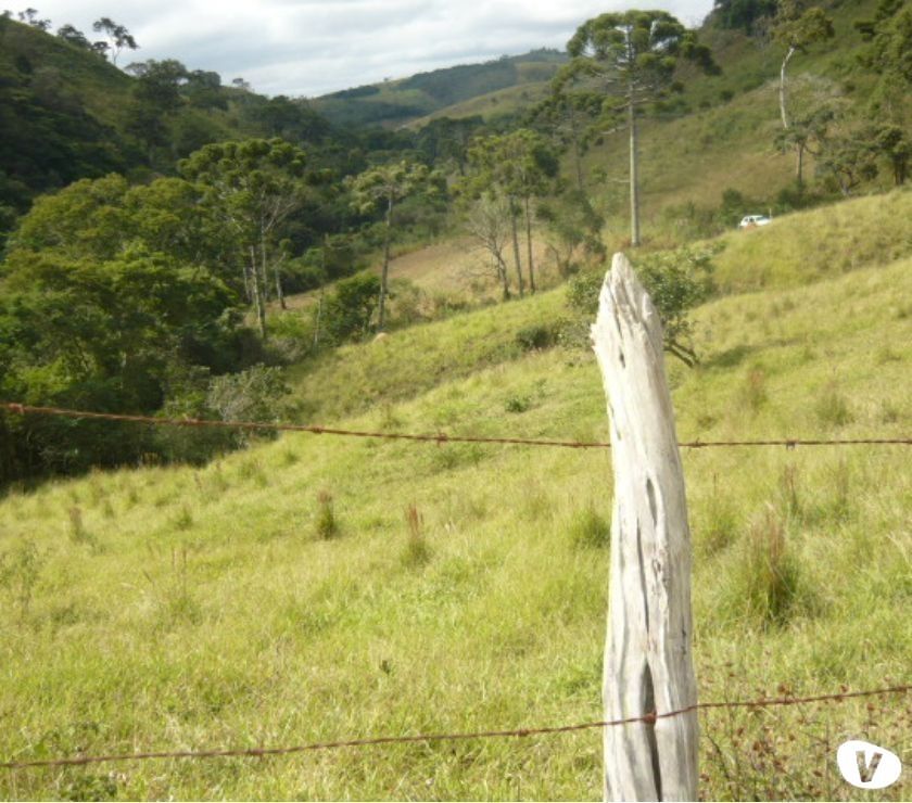 Linda Fazenda Por Preço Em Conta!!!