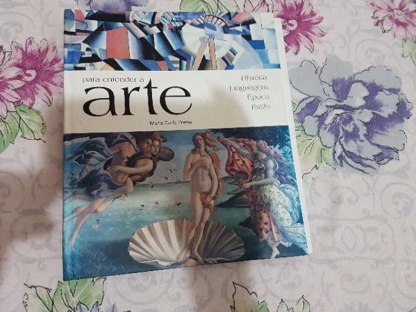 Livro para enter a arte maria clara prette