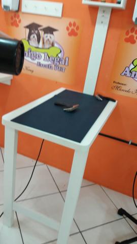 Mesa Pet Banho e tosa