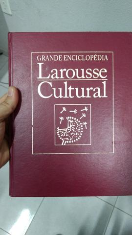 Coleção Enciclopédia Larousse 24 fascículos
