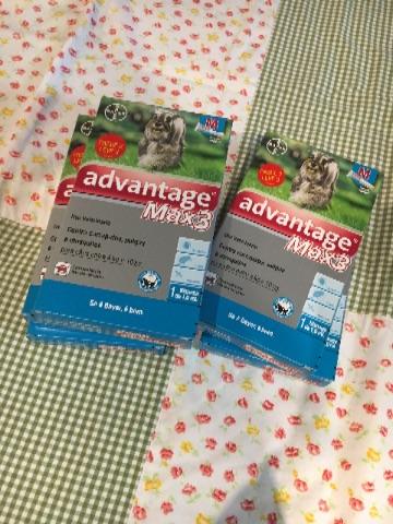 Anti pulgas e carrapatos