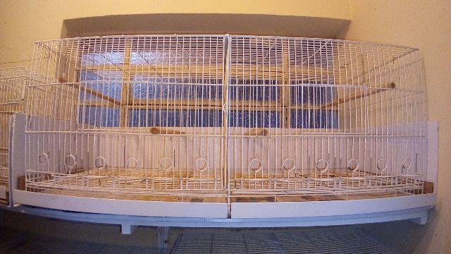 Gaiolas para canários