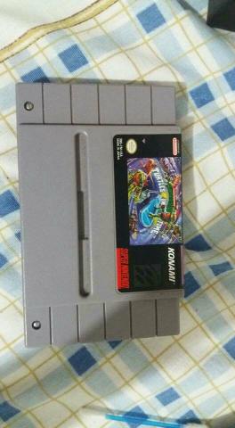 Turtle in times super nintendo