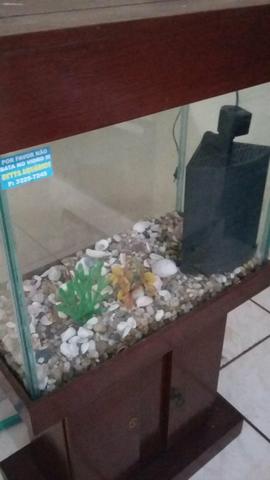 Aquário de peixe