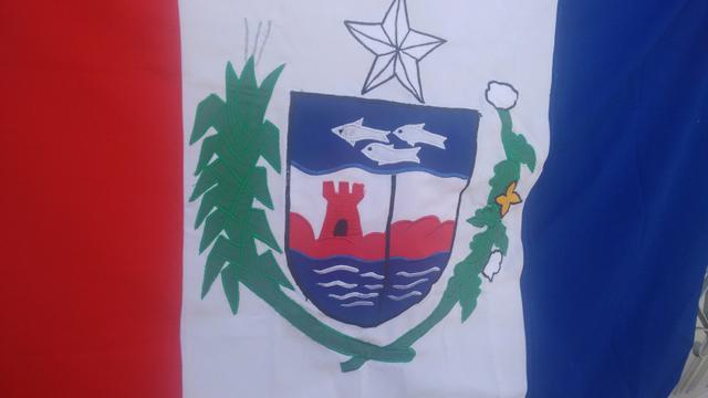 Bandeira de alagoas (oficial)