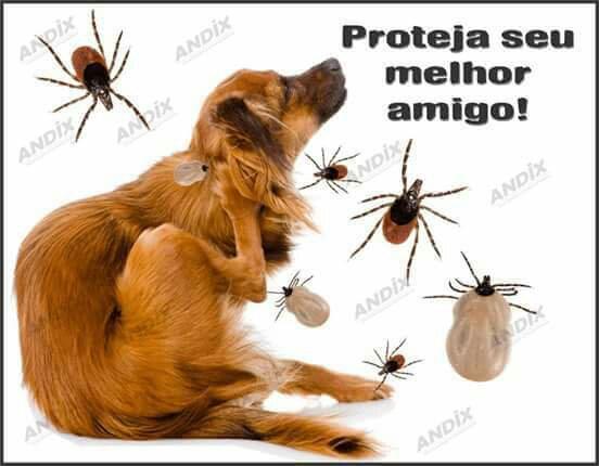 Dedetização residêncial