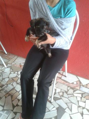 Doação responsável