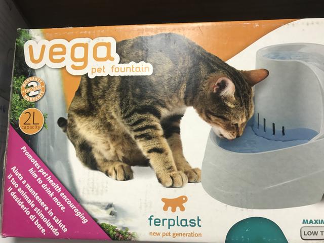 Bebedouro para gato com fonte eletrica de agua