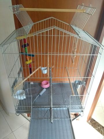 Gaiola para sair hoje