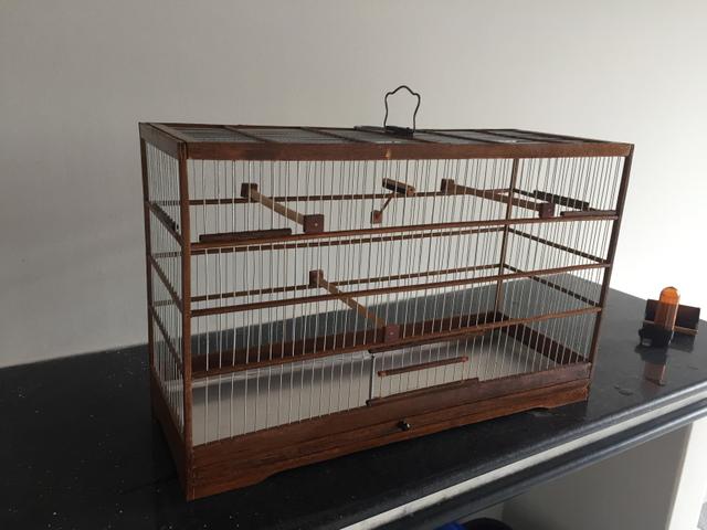 Gaiolas criadeiras novas