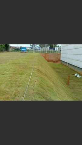 Grama fazemos o plantio éa venda