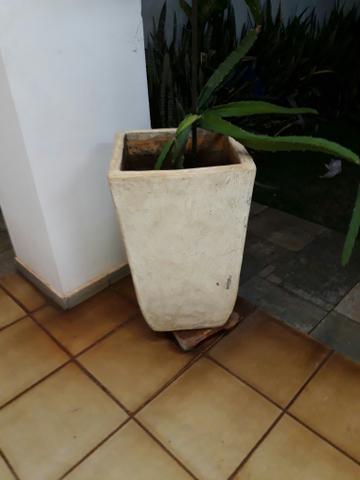 Vaso de planta