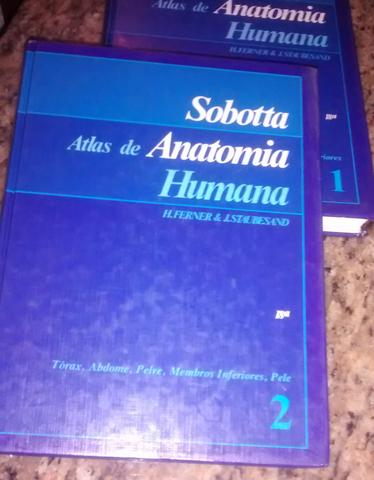 Sobotta - Atlas de Anatomia Humana - Volumes 1 e 2 - 18ªed
