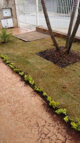 Jardinagem,poda retiramos todos os residuos