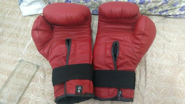 Luva de box