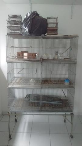 Viveiro e gaiolas para pássaros