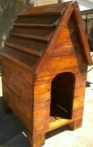 Casa cachorro