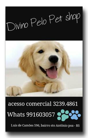 Divino pelo pet shop, venha conhecer