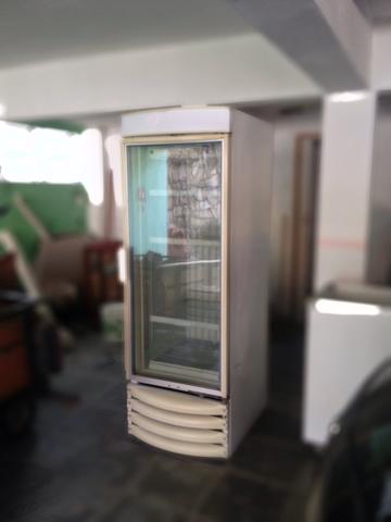 Freezer metalfrio expositor 220v