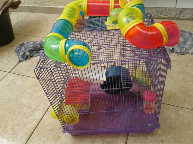 Gaiola pra hamster