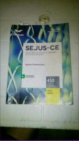 Apostila Agente Penitenciário atualizada
