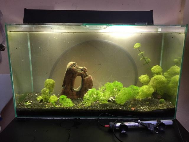 Aquário - 70 x 30 x  litros + acessórios