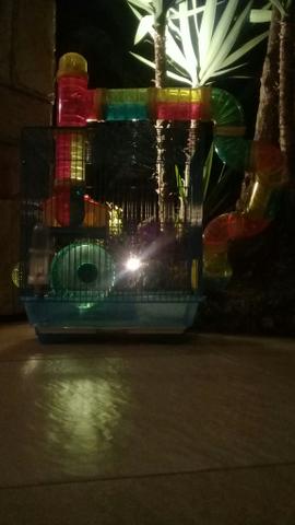 Casinha para Hamster